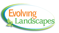 Evolving Landscapes