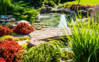 Why Fall Is a Smart Time for Landscape Installation in the Lee’s Summit Area
