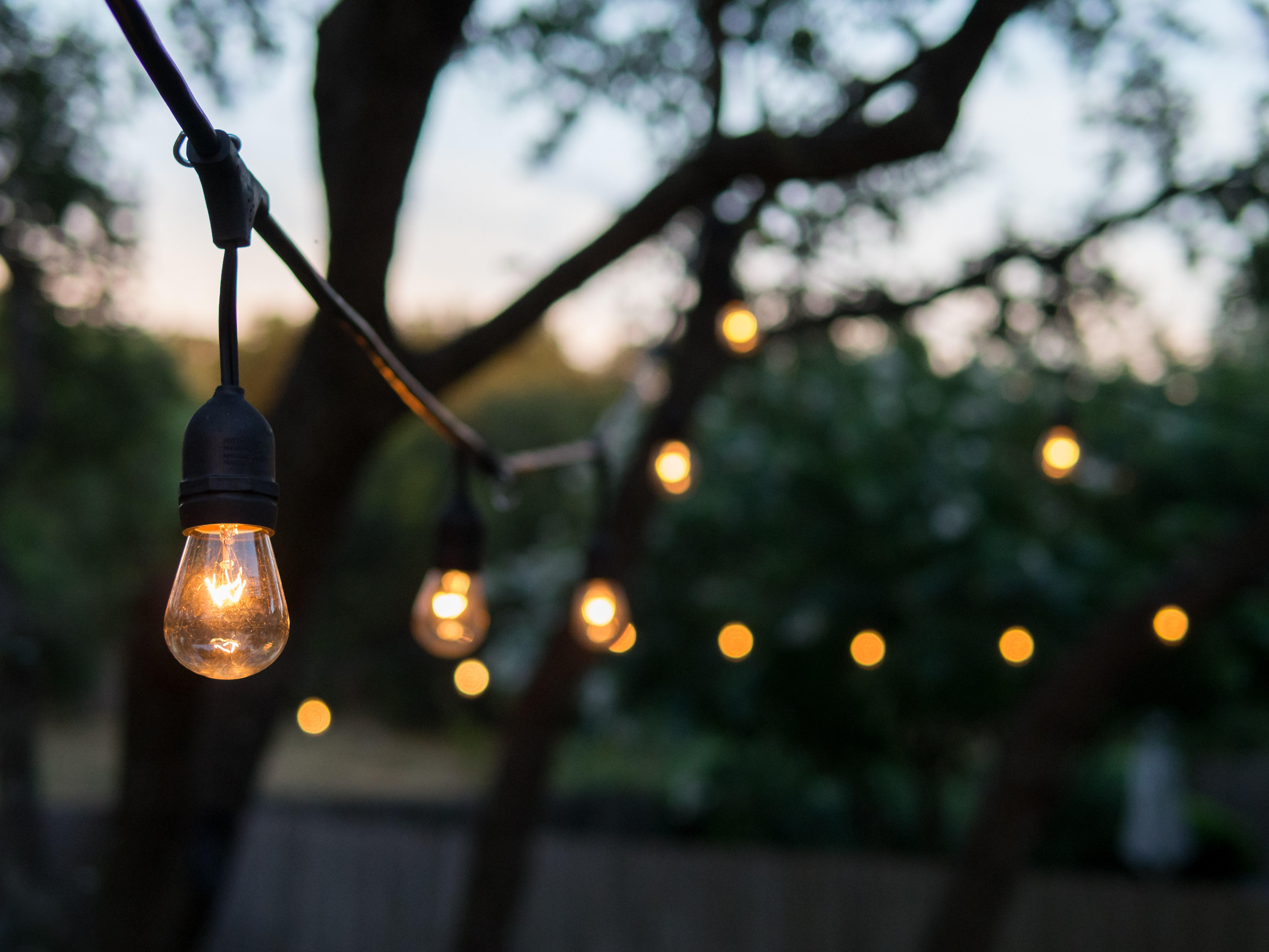 hanging lights in the dark with trees outline the background