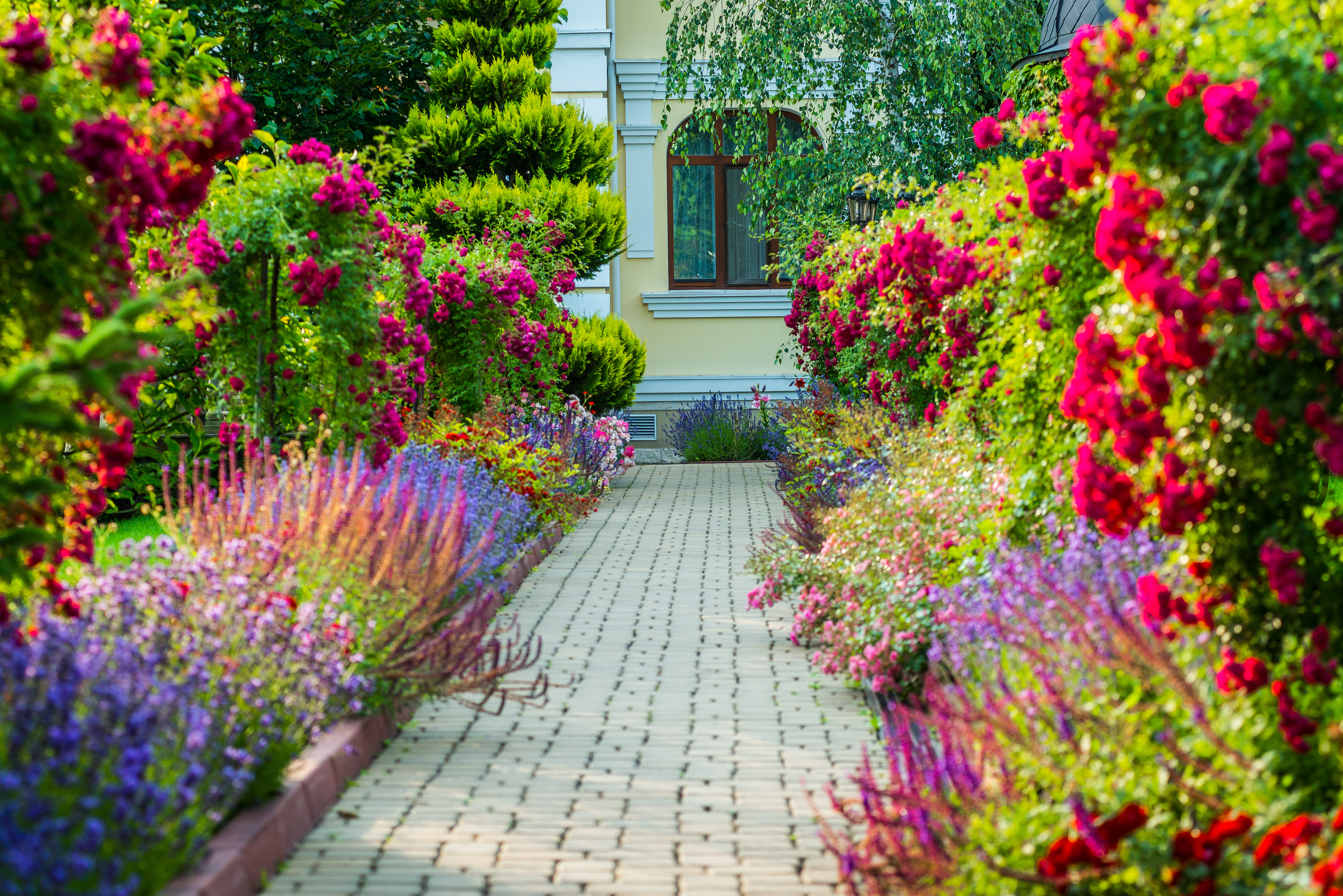 Paver walkway landscaping by Evolving Landscapes in Lee's Summit, MO