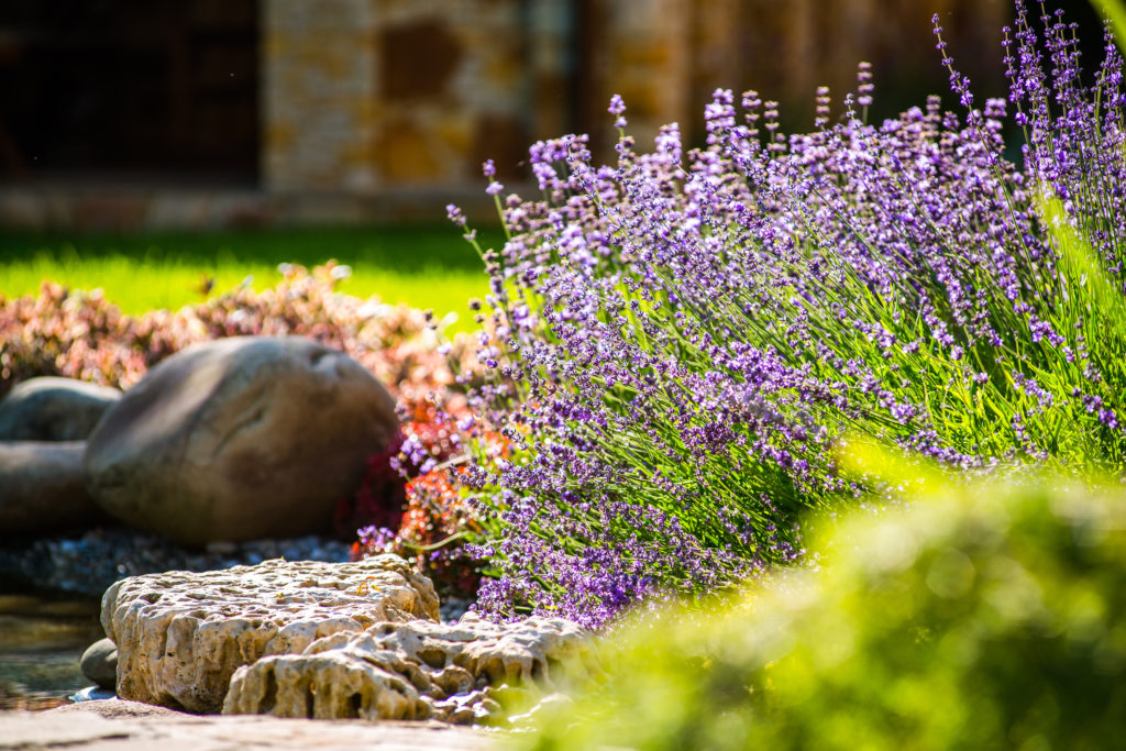 Rockscape landscaping in Lee's Summit by Evolving Landscapes in Missouri