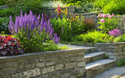 Is it Worth Hiring a Landscape Designer?