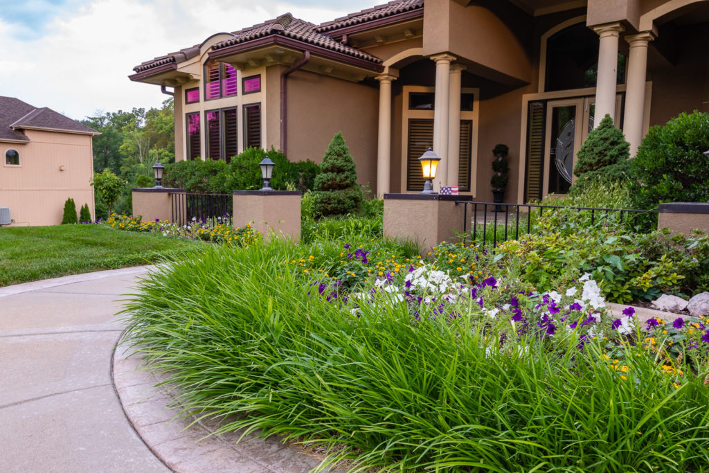 Flower and grass landscaping by Evolving Landscapes in Lee's Summit, MO