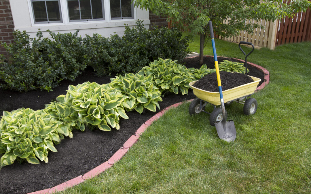 Best Mulching Services in Lee’s Summit