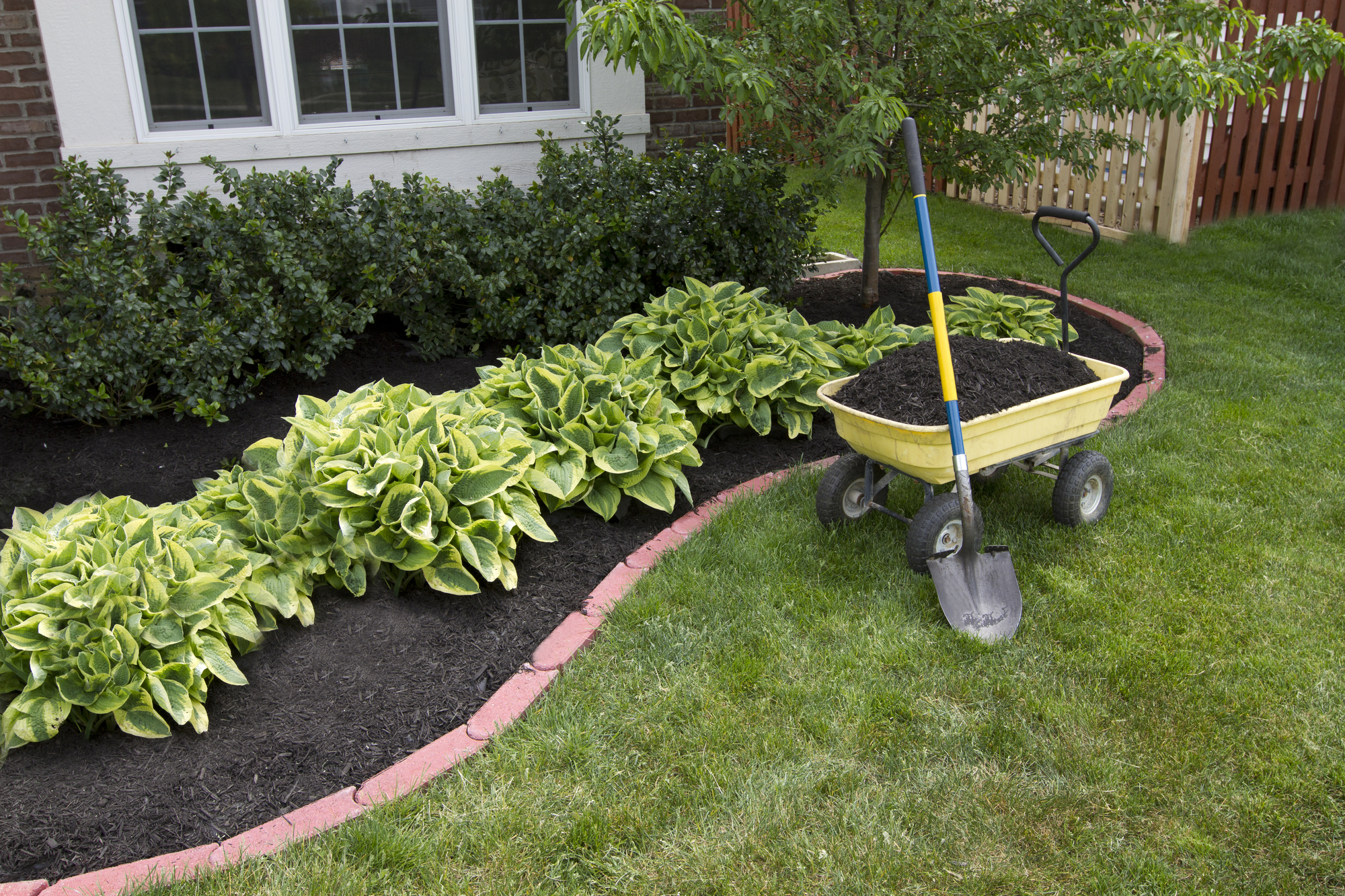 Mulching around the Bushes in Lee's Summit