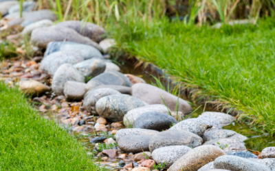 Signs Your Yard Has Drainage Issues and What to Do About Them