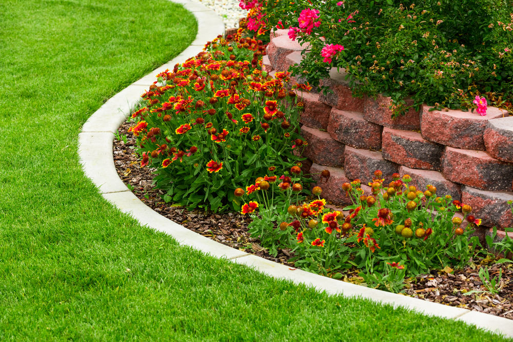 Backyard Landscape Design in Lee’s Summit: What to Plan This Fall for a Better Spring